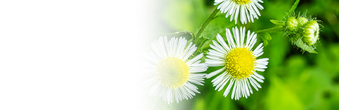 プライバシーポリシー